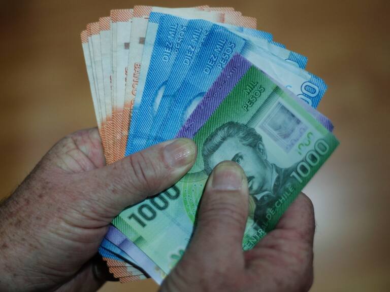 Se despachó a Ley: Senado aprueba ampliación de la PGU