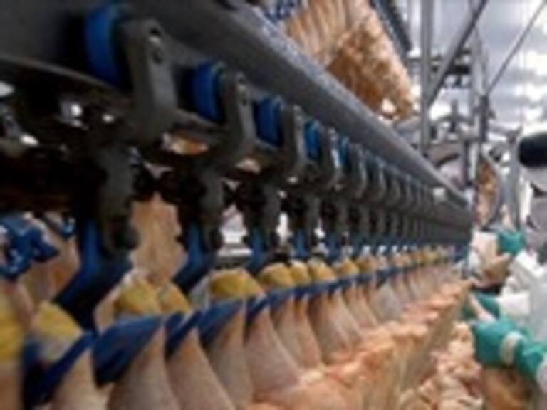 Tribunal de Defensa Libre Competencia sancionó a tres empresas de pollos por colusión