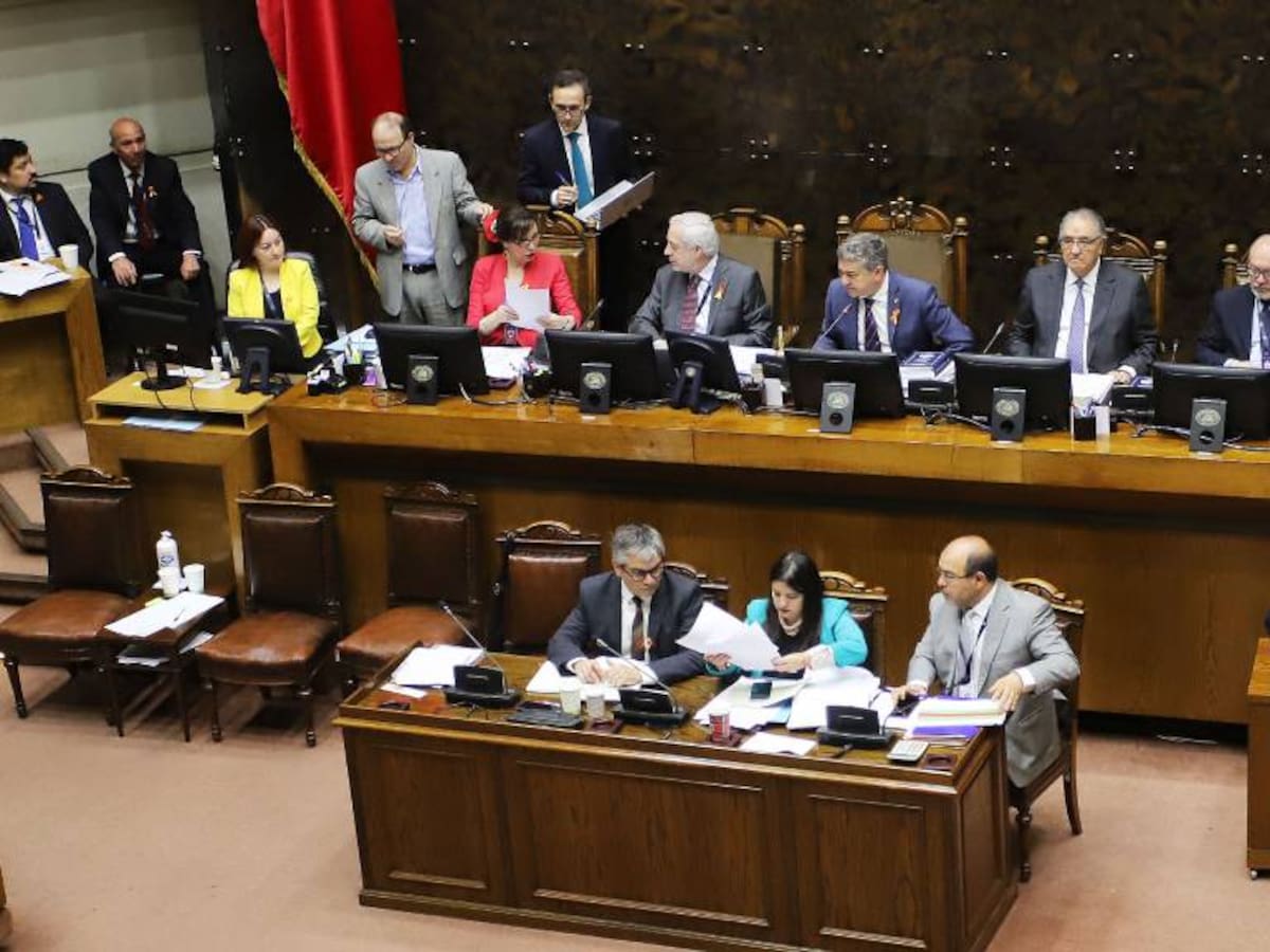 Senado y Gobierno llegan a acuerdo para aprobar partida de educación: suspenden transitoriamente traspaso de los servicios educativos a los Slep