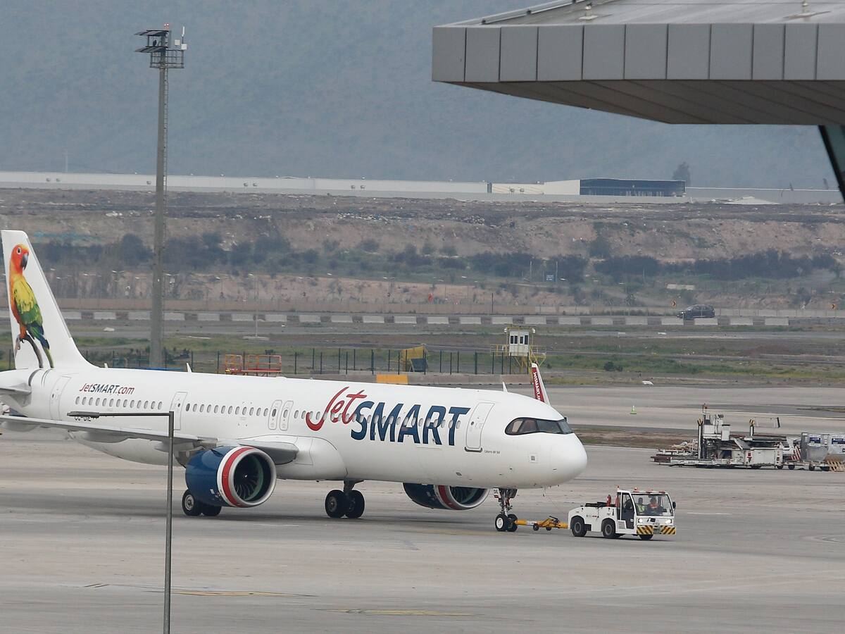 Detectan seis vertederos ilegales que agravan presencia de aves cerca del aeropuerto: “Este es un problema recurrente”