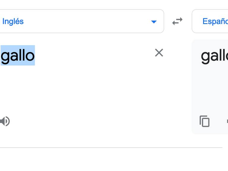Particular sonido al traducir la palabra "gallo" en Google Traductor