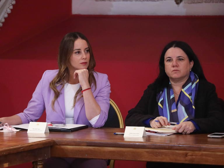 Presidente Kast remueve a ministras Steinert y Sedini en medio de crisis de seguridad y desplome en encuestas