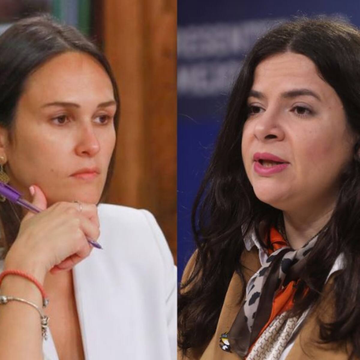 Diputada Labra (RN) critica silencio de ministra Orellana por amenazas de Pedro Pool a la alcaldesa Matthei