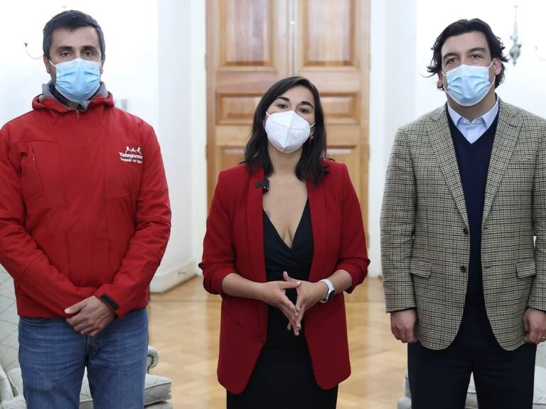 Saqueo Talagante - Querella del Gobierno - Izkia Siches
