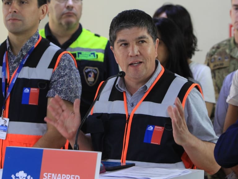 Manuel Monsalve proyecta que incendio Santa Ana podrá ser controlado «durante el fin de semana»