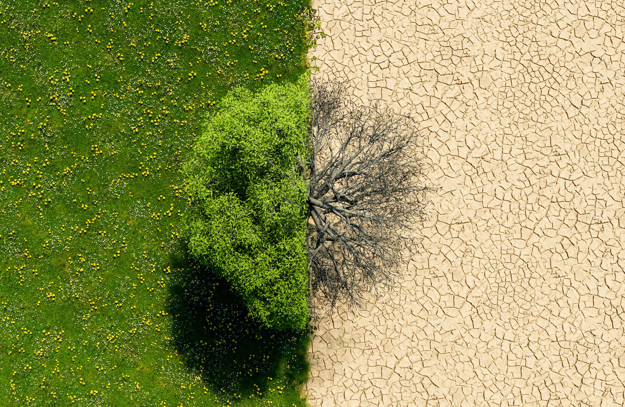 Calentamiento global | Getty Images