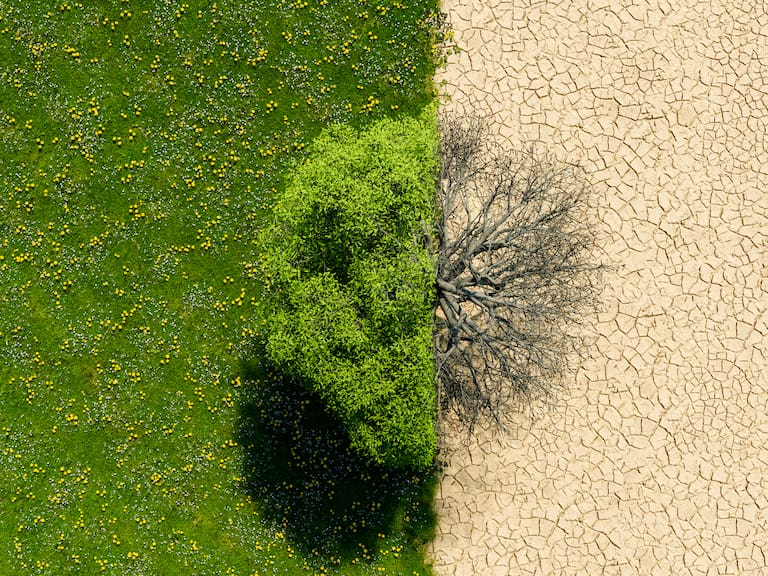 Calentamiento global | Getty Images
