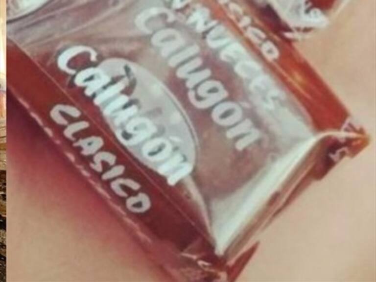 Ciudadano a pata: el deterioro del patrimonio en Valparaíso y la desaparición del calugón Pelayo