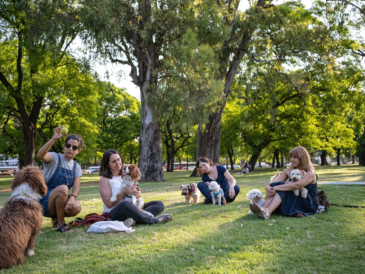 ¿Cuáles son los mejores caniles de Santiago? 5 parques imperdibles para disfrutar junto tu perro al aire libre
