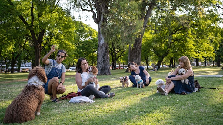 ¿Cuáles son los mejores caniles de Santiago? 5 parques imperdibles para disfrutar junto tu perro al aire libre