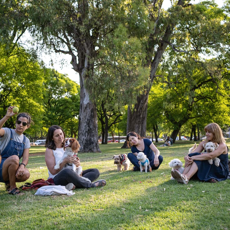 ¿Cuáles son los mejores caniles de Santiago? 5 parques imperdibles para disfrutar junto tu perro al aire libre