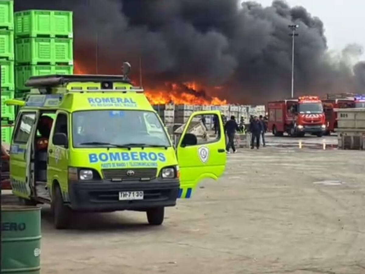Voraz incendio destruye acopio de contenedores plásticos pertenecientes a planta frutícola en la región del Maule