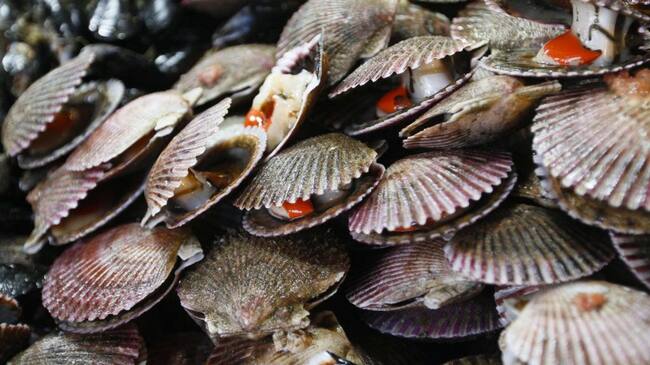 27 marzo 2018/ValparaisoVenta de Pescados y Mariscos en la Caleta Portales de Valparaiso por semana santa.
FOTO:YVO SALINAS/AGENCIAUNO