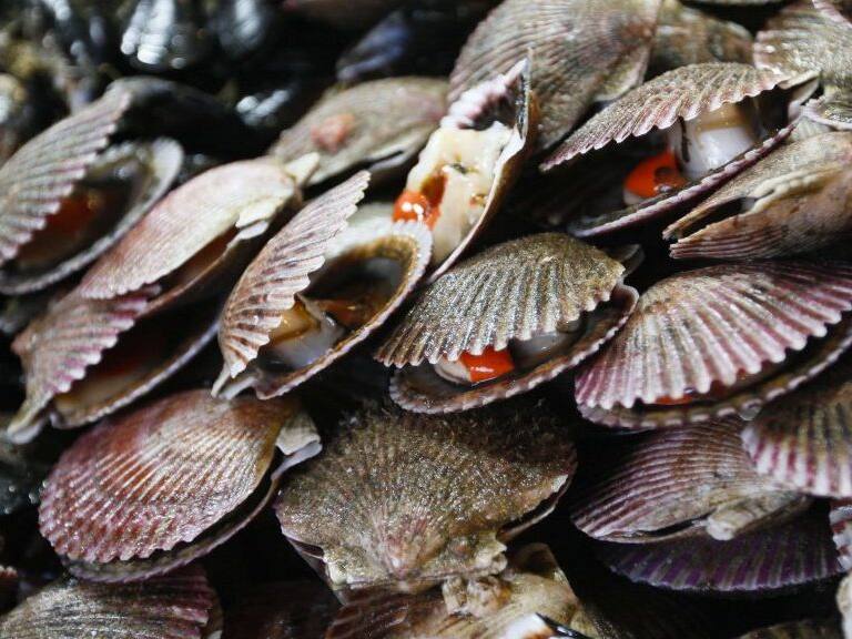 27 marzo 2018/ValparaisoVenta de Pescados y Mariscos en la Caleta Portales de Valparaiso por semana santa.
FOTO:YVO SALINAS/AGENCIAUNO
