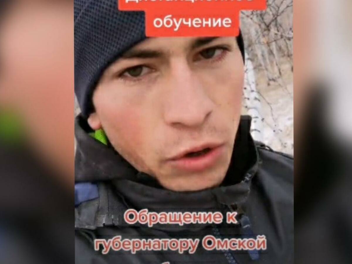 TikToker ruso mostró cómo subía a un árbol de 300 metros para conectarse a clases: la aplicación lo ayudará