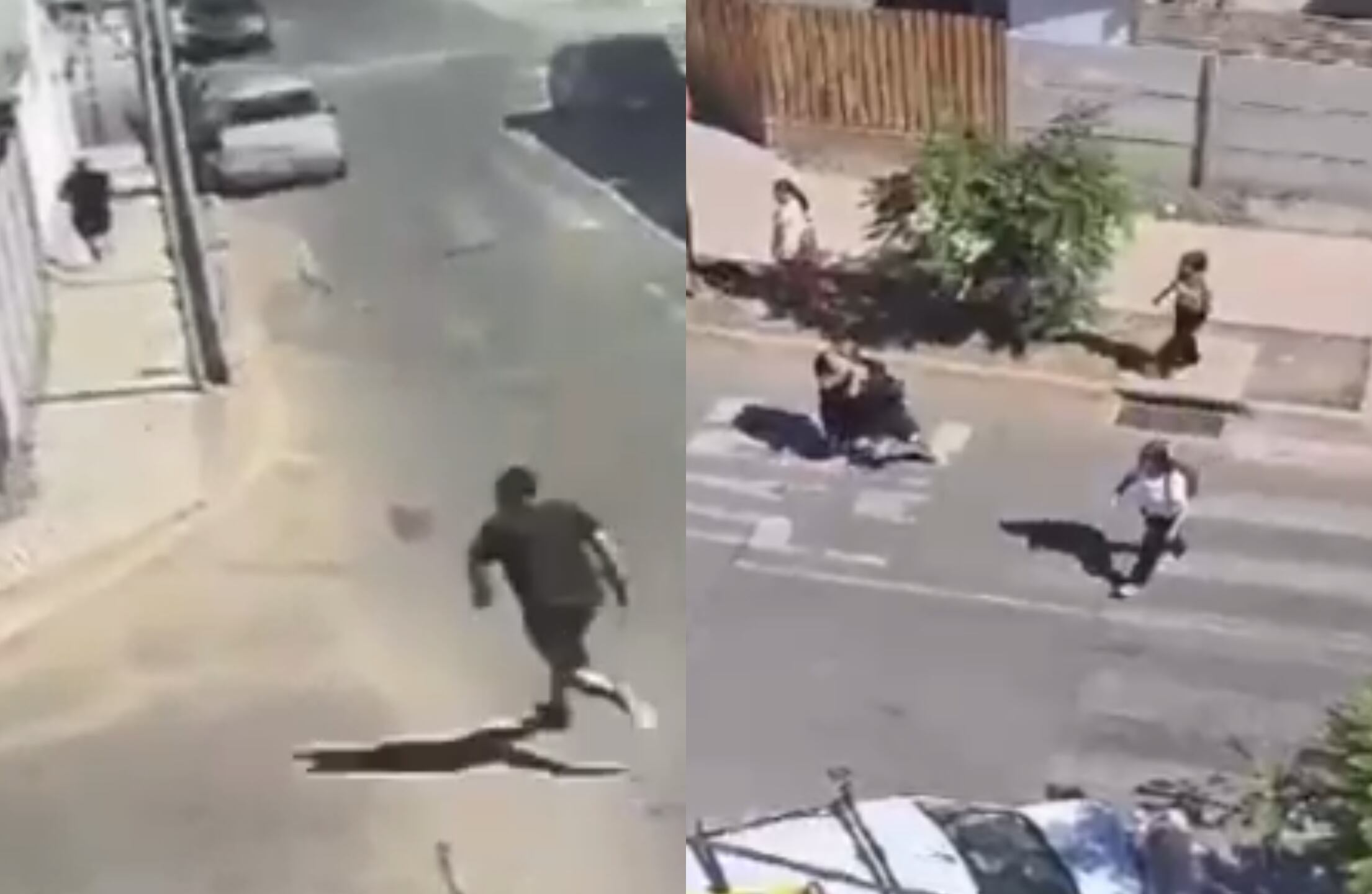 Capturas