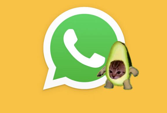 "modo gato" de WhatsApp | MAG - Rommel Yupanqui