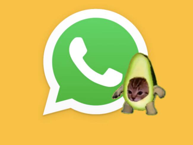 "modo gato" de WhatsApp | MAG - Rommel Yupanqui
