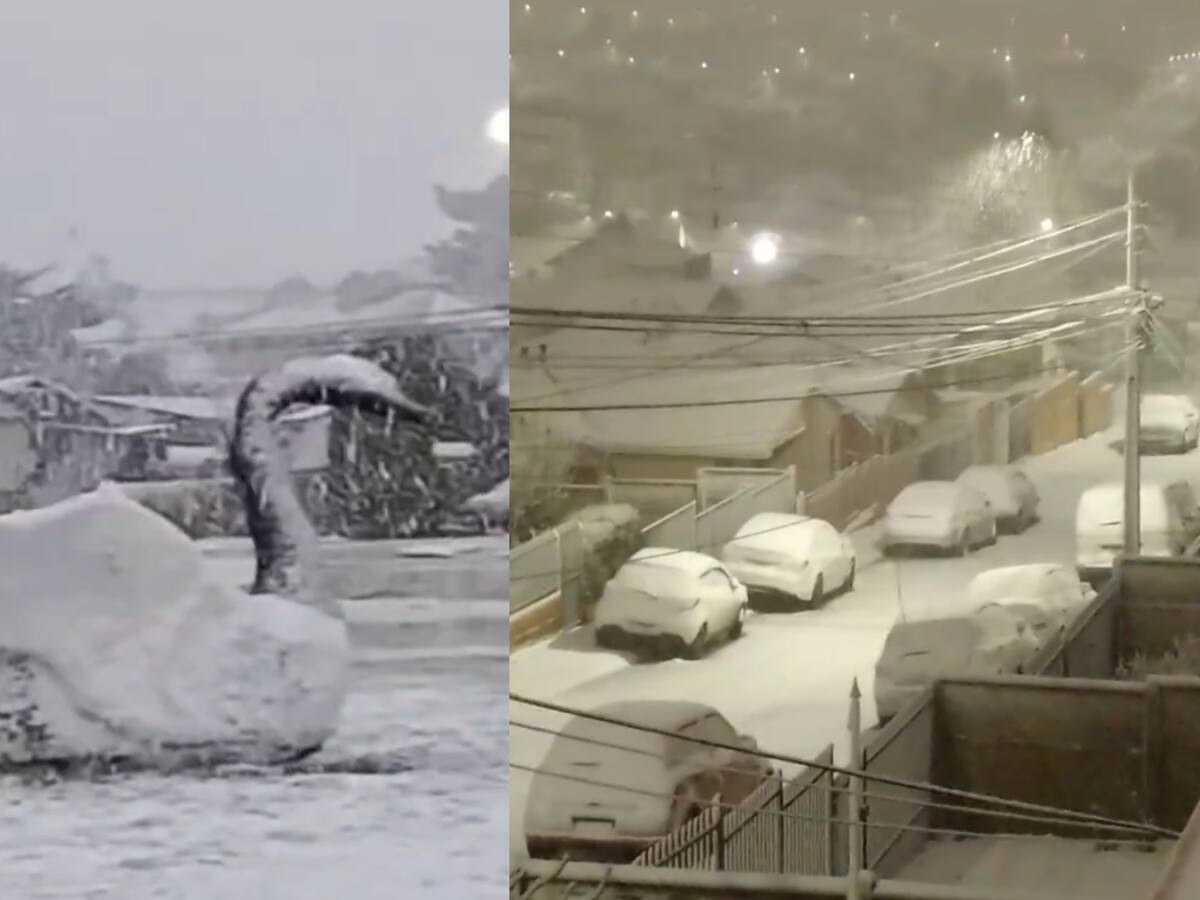 Sistema frontal deja nevadas, marejadas y fuertes vientos en el sur del país: revisa el tiempo para hoy viernes