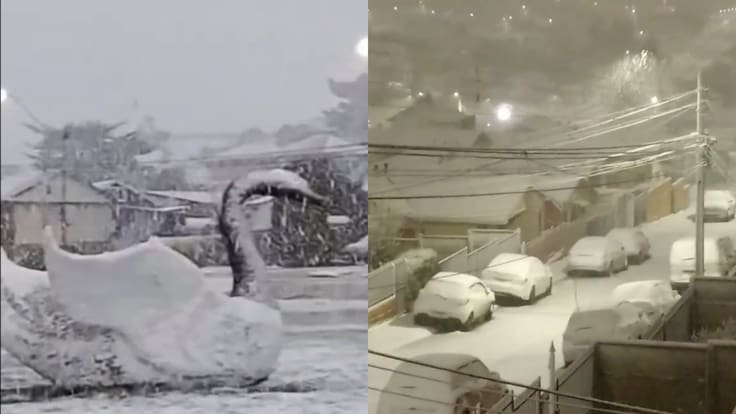 Sistema frontal deja nevadas, marejadas y fuertes vientos en el sur del país: revisa el tiempo para hoy viernes
