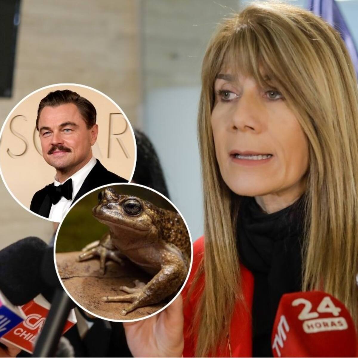 “Fue buscado por una organización”: ministra Rincón apunta contra DiCaprio tras rechazo de proyecto eléctrico en el Maule