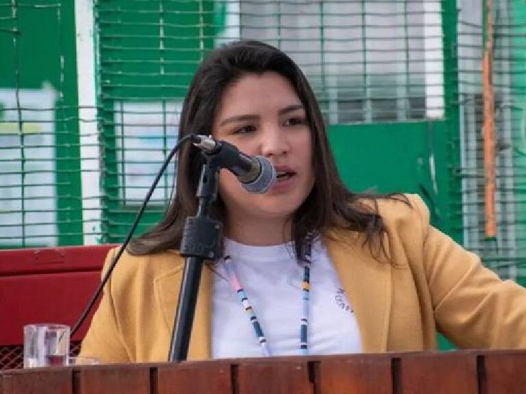 Camila Castillo Guerrero asume como nueva delegada presidencial provincial del Tamarugal