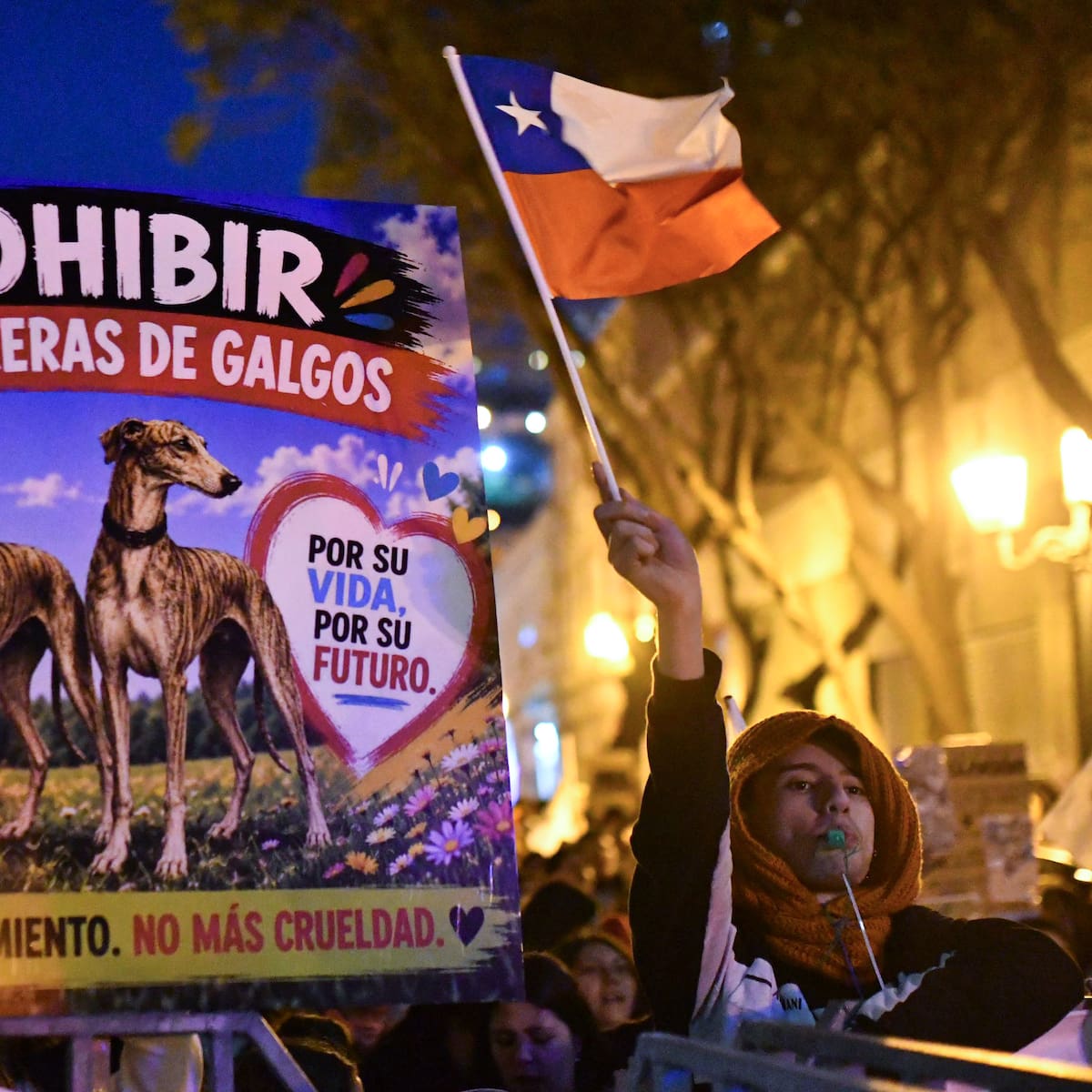 “No es ley”: aclaran qué falta para prohibir las carreras de galgos tras aprobación en el Congreso