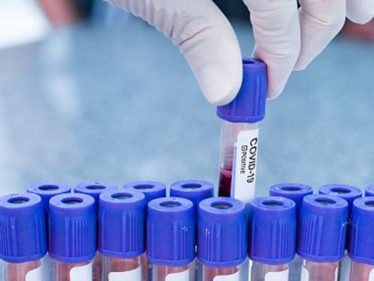 reunión por nueva cepa covid-19