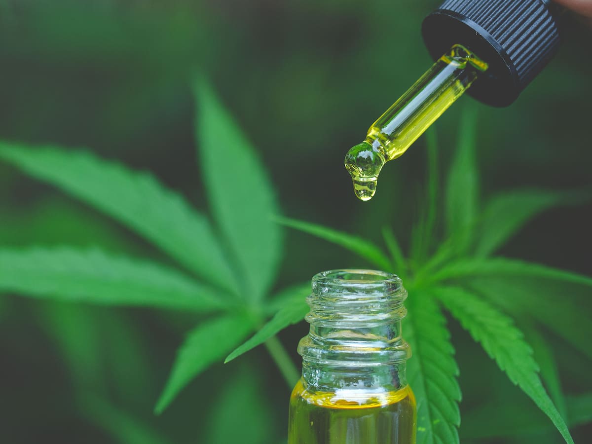 “Es una alternativa legal”: investigadores encuentran un compuesto del cannabis dentro de una planta totalmente diferente