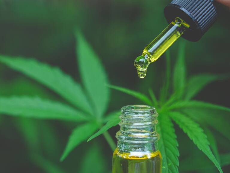 Hand holding bottle of Cannabis oil in pipette, Hemp oil, medical marijuana concept, CBD cannabis OIL. hemp product.