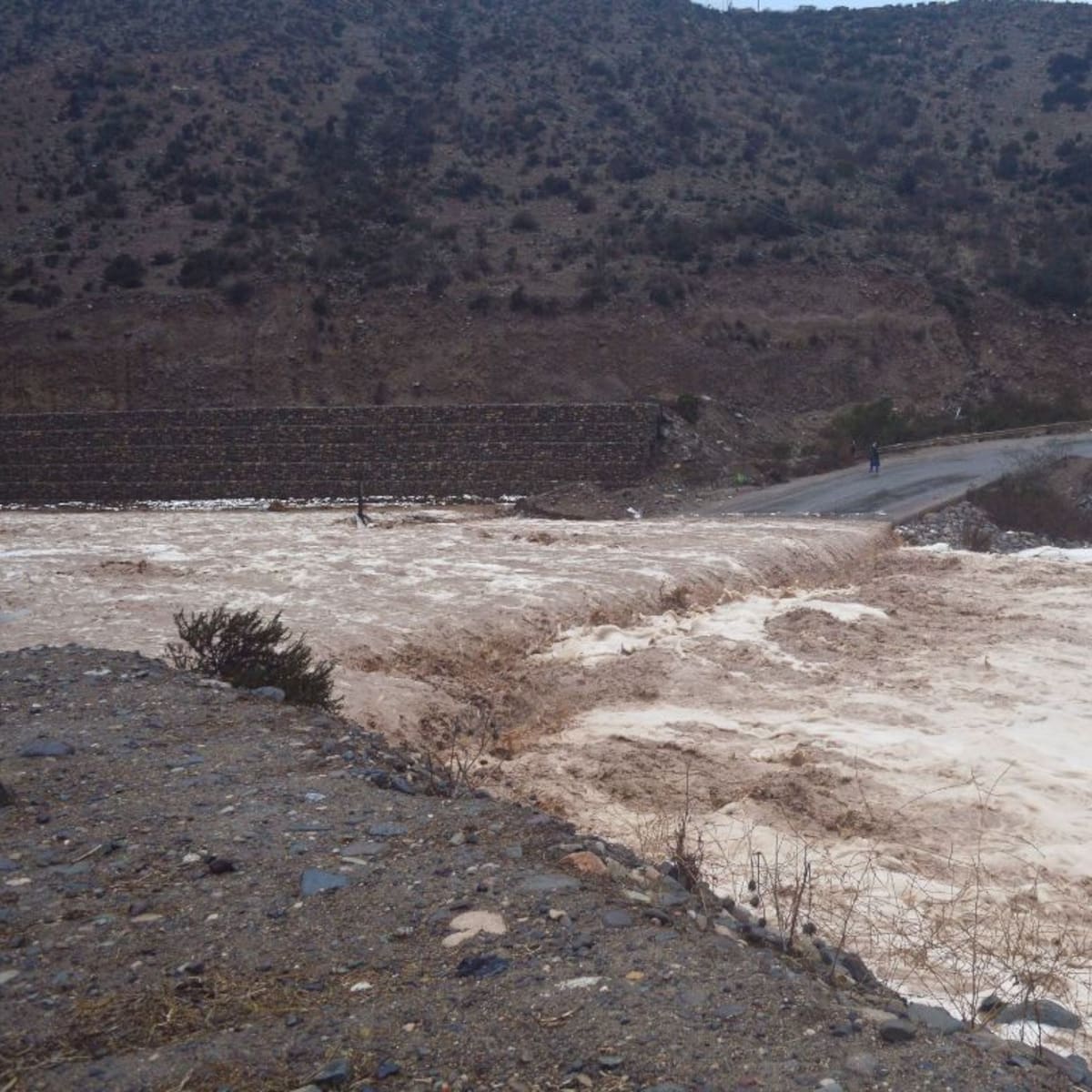 ¿Qué peligros enfrentan las zonas cordilleranas de Chile por las lluvias y sus quebradas? Esto respondió un experto