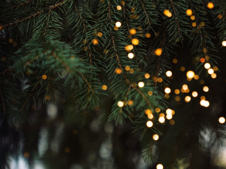 Científicos detectan por primera vez destellos de luz en árboles durante tormentas eléctricas