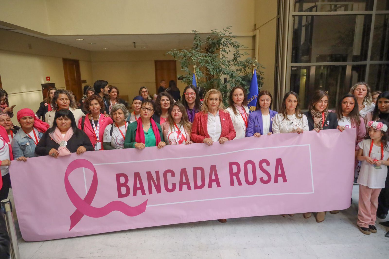 35 diputadas conforman la "Bancada Rosa" | Agencia Uno