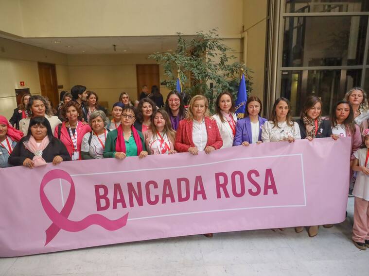 35 diputadas conforman la "Bancada Rosa" | Agencia Uno