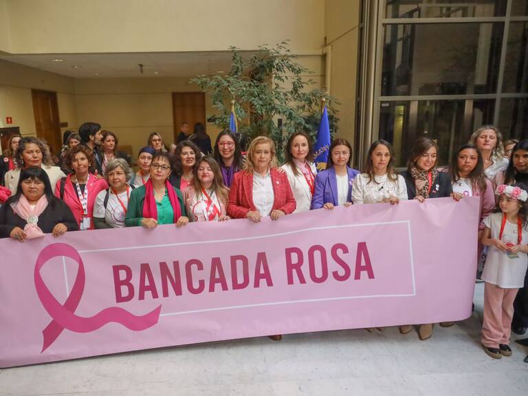 35 diputadas conforman la "Bancada Rosa" | Agencia Uno