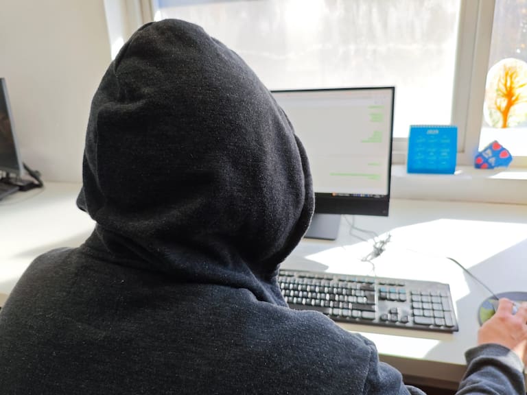 Desarticulan ciberbanda