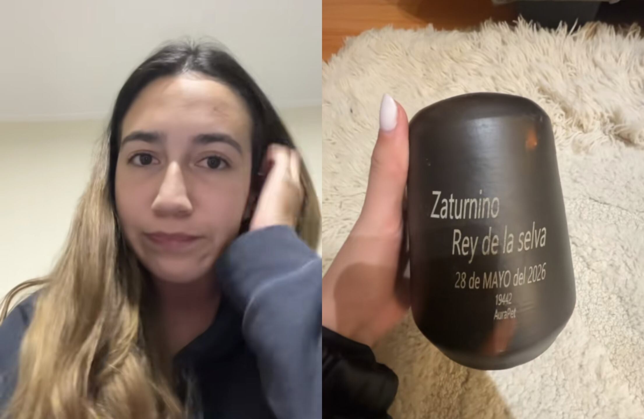 Capturas TikTok @frandiazperomaspersonal