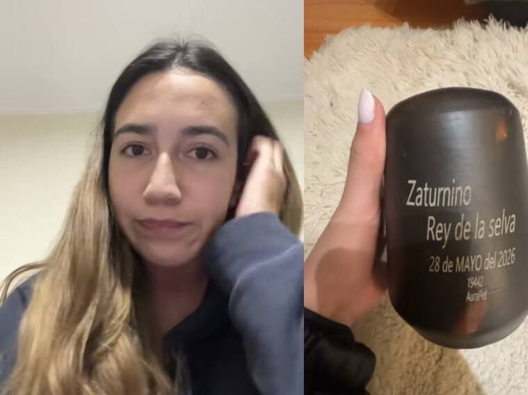 Capturas TikTok @frandiazperomaspersonal