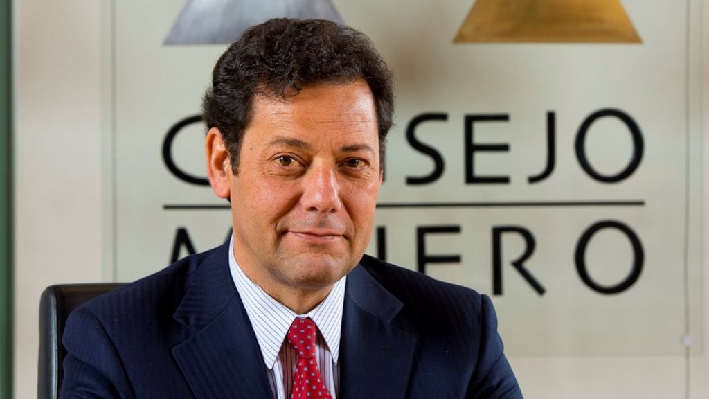 Joaquín Villarino - minería