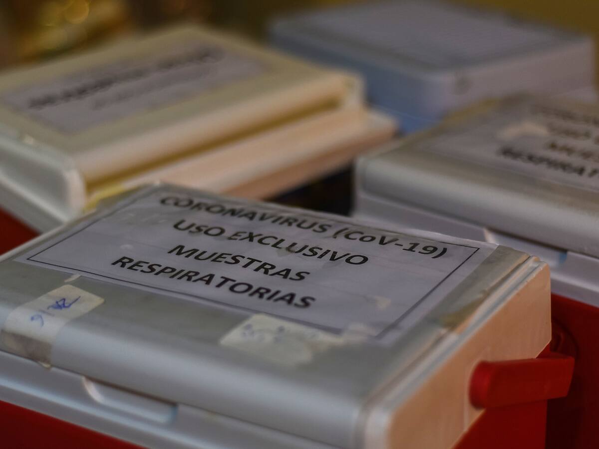 Informes epidemiológicos del Minsal apuntan a febrero como el primer mes con casos de coronavirus en Chile