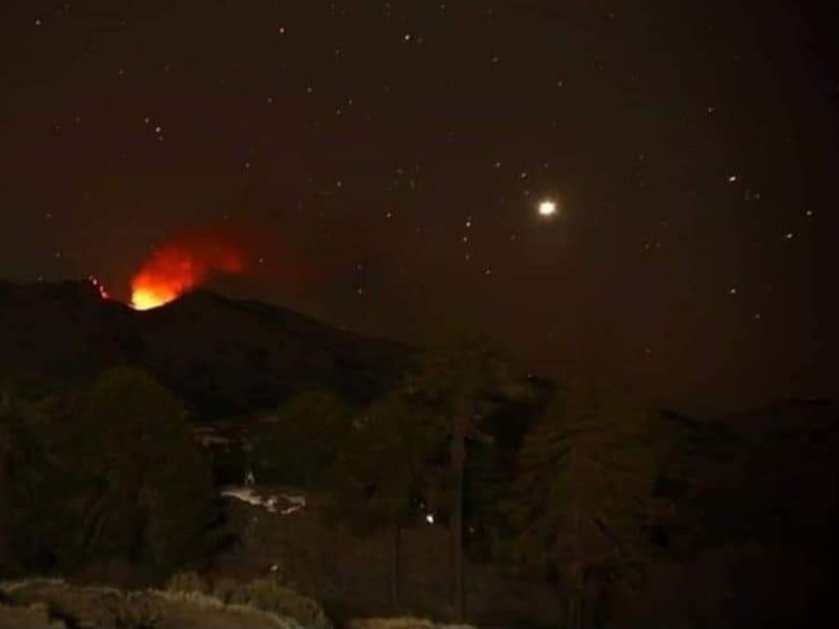 Sernageomin reportó actividad en Volcán Copahue, Región del Biobío