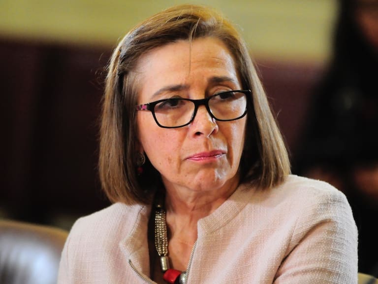 Diputados RN piden salida de Nivia Palma de la dirección de TVN tras caso de Matías del Río