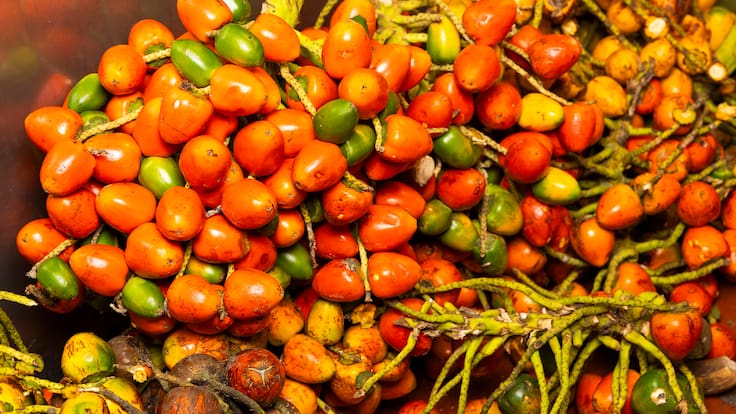 Cinco prácticas ancestrales que ayudan a evitar el desperdicio de comida