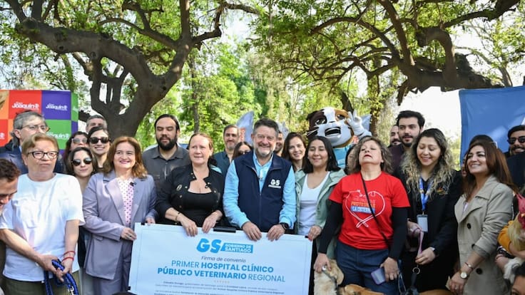 Cirugías, UCI y hospitalización: anuncian el primer hospital público veterinario de la Región Metropolitana