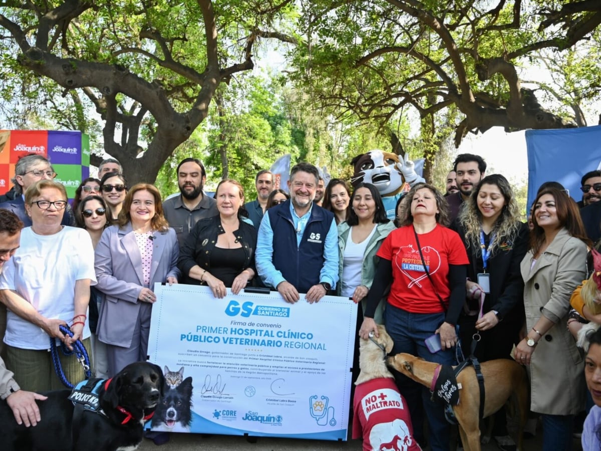 Cirugías, UCI y hospitalización: anuncian el primer hospital público veterinario de la Región Metropolitana