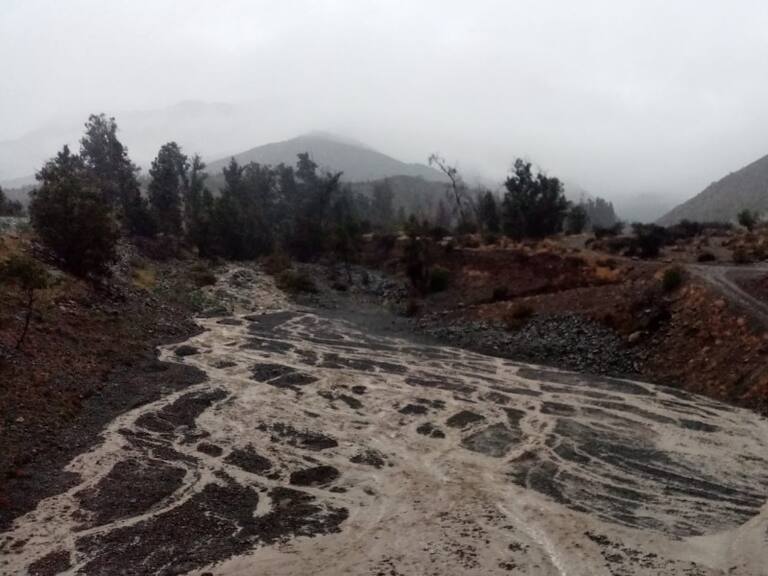 Sistema frontal en la RM