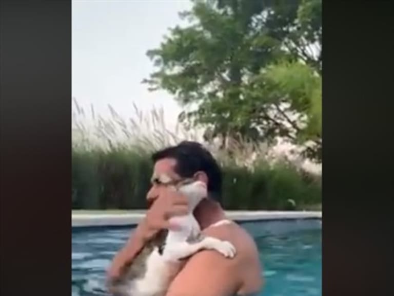 Gatito dice «me ahogo» cuando su dueño lo mete al agua
