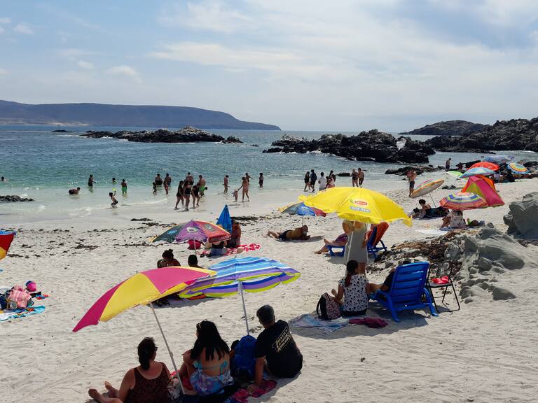 Cambios en el plan paso a paso