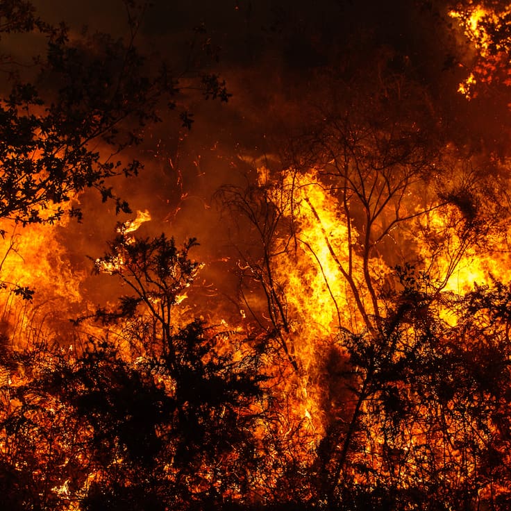 Megaincendio en el Biobío avanzó diez veces más rápido que la capacidad de extinción, según expertos europeos