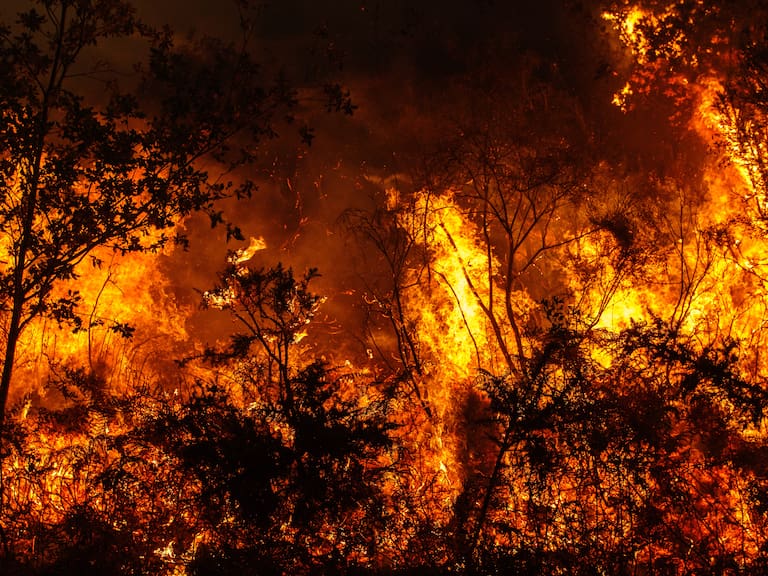 Megaincendio en el Biobío avanzó hasta diez veces más rápido que la capacidad de extinción, según expertos europeos